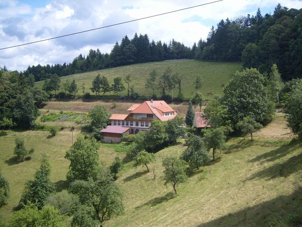 Апартаменти Langenberghof Обергармерсбах Екстер'єр фото