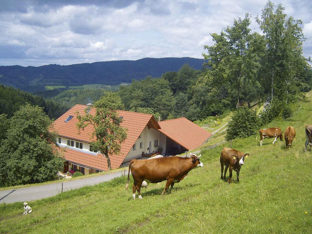 Апартаменти Langenberghof Обергармерсбах Екстер'єр фото