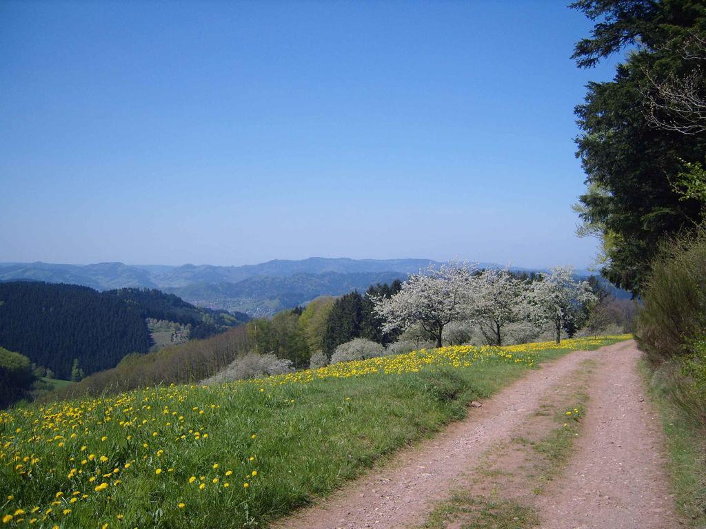 Апартаменти Langenberghof Обергармерсбах Екстер'єр фото