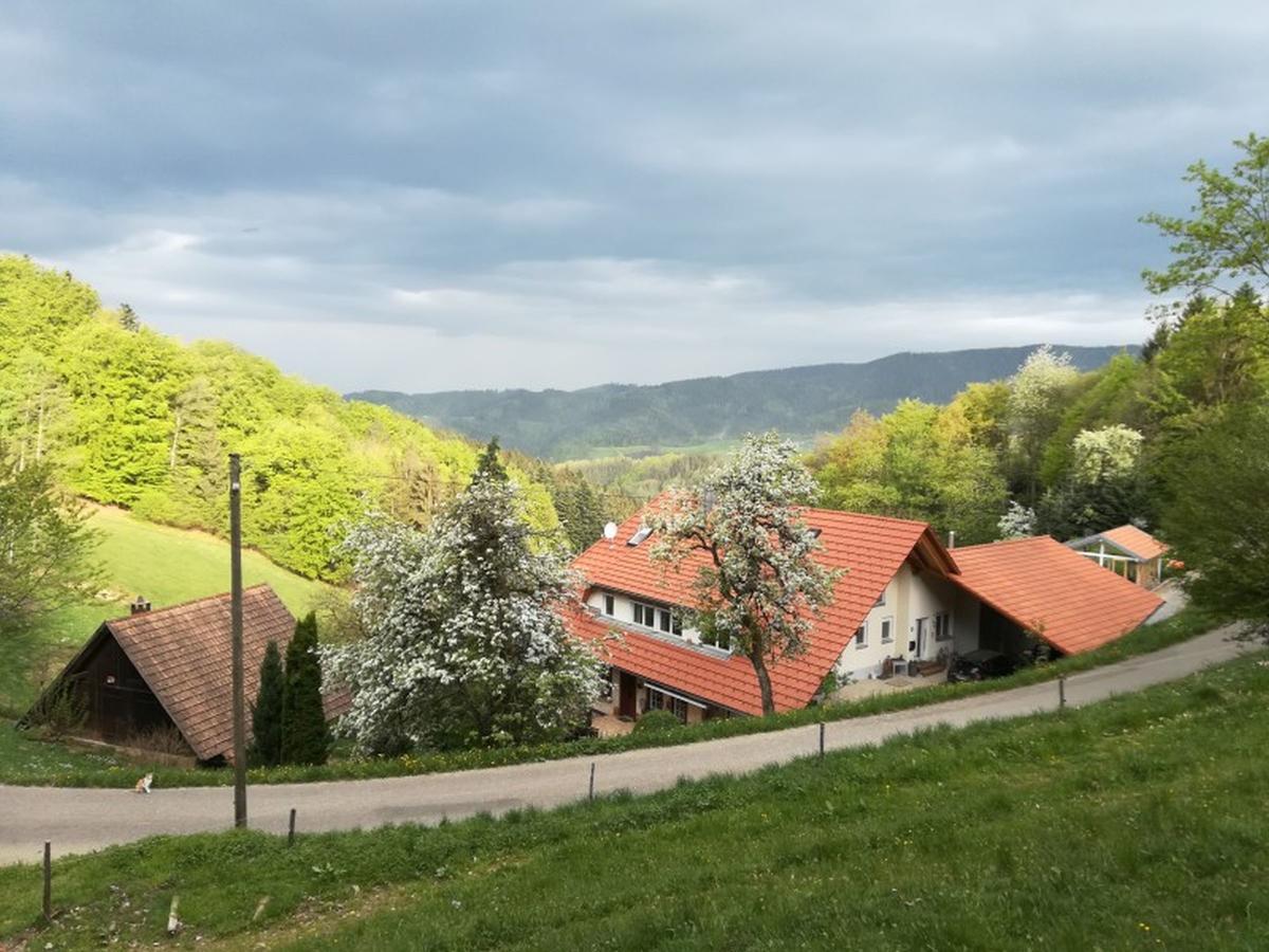 Апартаменти Langenberghof Обергармерсбах Екстер'єр фото