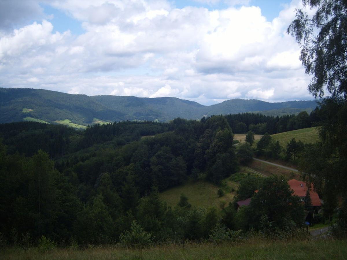 Апартаменти Langenberghof Обергармерсбах Екстер'єр фото